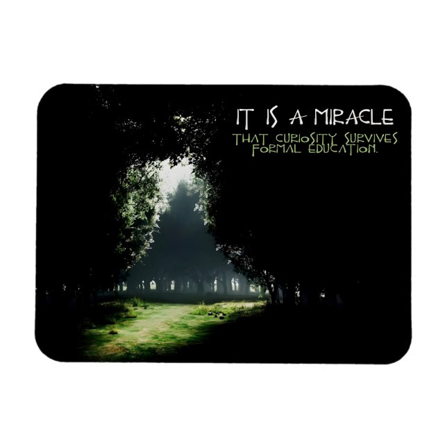 Ímã "Curiosidade", citação inspiracional flexível (Horizontal)