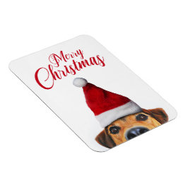 Ímã Curioso Cachorro Engraçado com Papai Noel