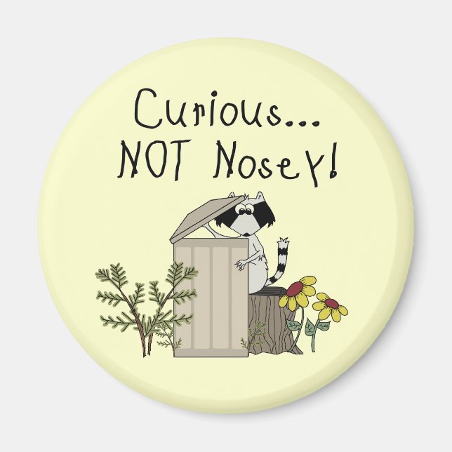 Imã Curioso Raccoon (Frente)