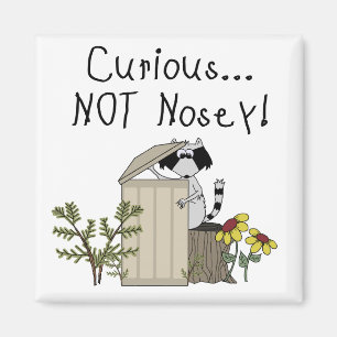 Imã Curioso Raccoon