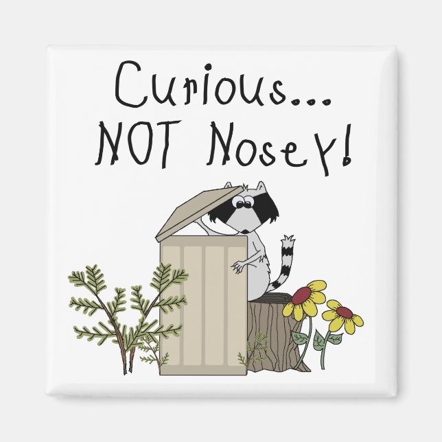 Imã Curioso Raccoon (Frente)