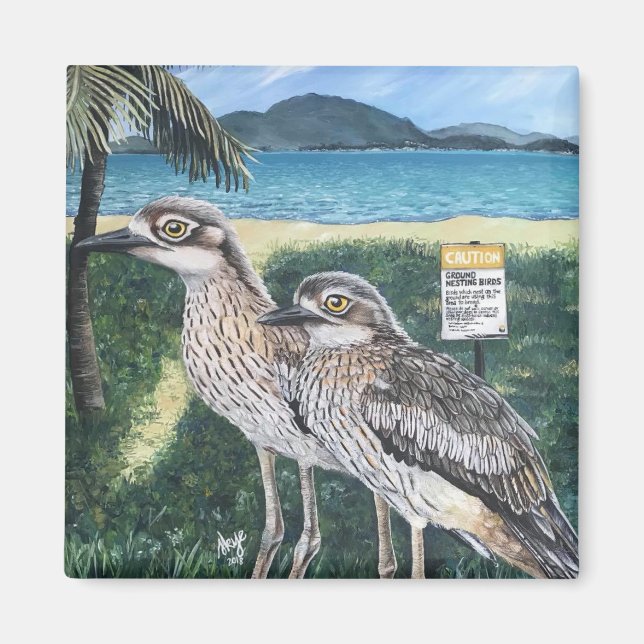 Imã Curlew's of Townsville Strand (Frente)