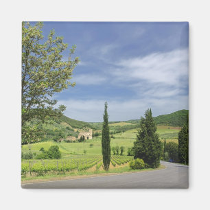 Imã Curvagem por estrada nacional entre ciprestes