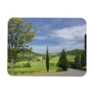 Ímã Curvagem por estrada nacional entre ciprestes