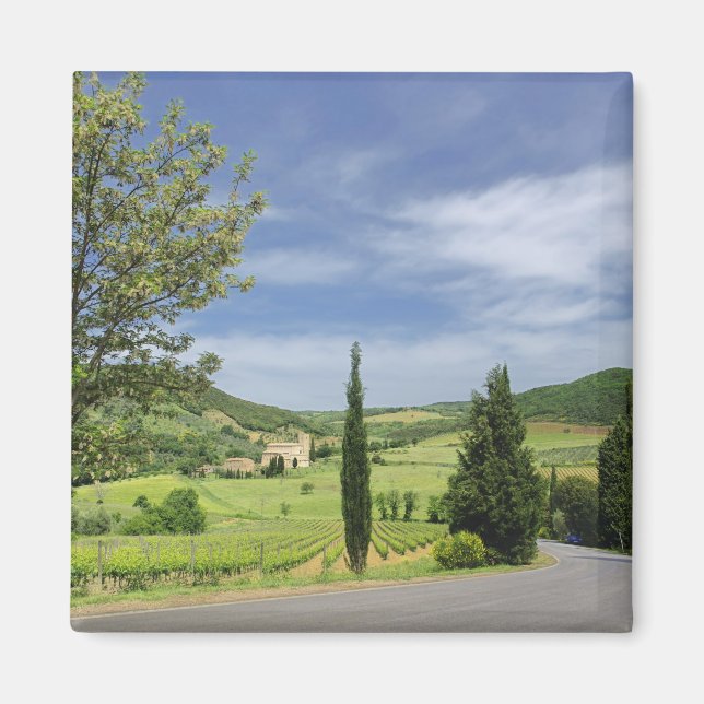 Imã Curvatura por estrada nacional entre ciprestes em (Frente)