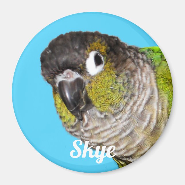 Imã Custom Pet Bird Photo Name (Frente)