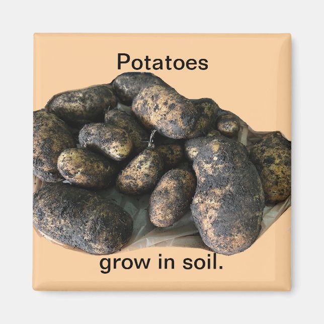 Imã Custom Potato Magnets, harvested (Frente)
