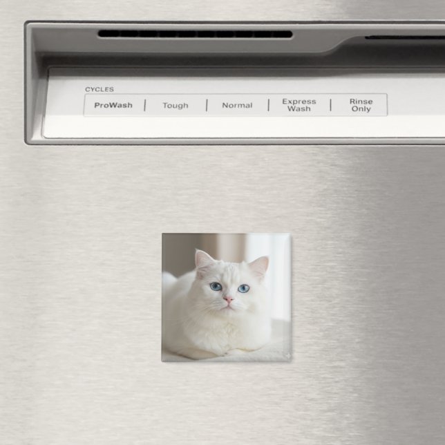 Imã Custom white cat photo magnet for fridge (In Situ (Dishwasher))