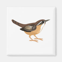 Imã Cute Carolina Wren