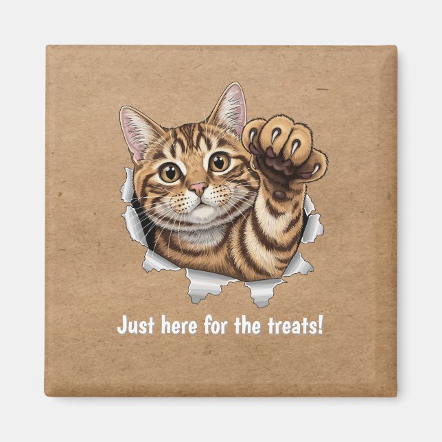 Imã Cute Cat Magnet - Just here for the treats! (Frente)