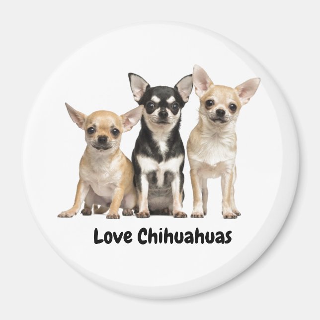 Imã Cute Chihuahua Puppies (Frente)