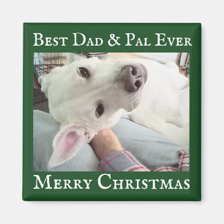 Imã Cute Dog Photo Best Dad Pal Green and White