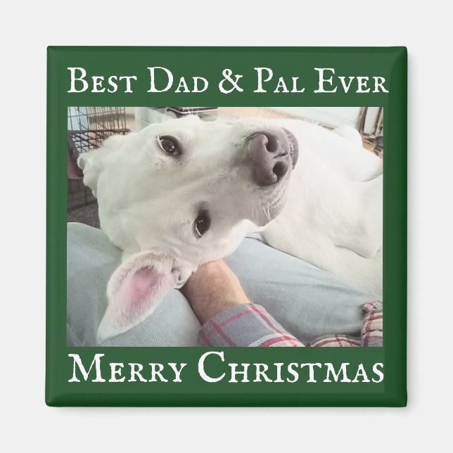 Imã Cute Dog Photo Best Dad Pal Green and White  (Frente)