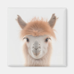Imã Cute Llama Magnet (Alpaca)   Recolhível