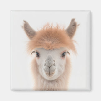 Imã Cute Llama Magnet (Alpaca) | Recolhível