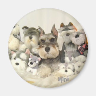 Imã CUTE Mini Schnauzer Magnet