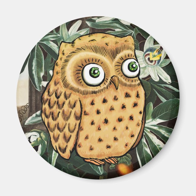 Imã Cute Owl (Frente)