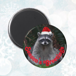 Imã Cute Raccoon Vestindo Feriado Vermelho Santa Hat