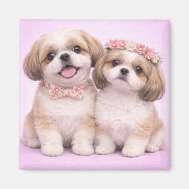 Imã Cute Shih Tzu Couple Valentine Illustration