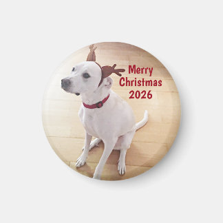 Imã Cute White Reindeer Dog Photo Merry Christmas