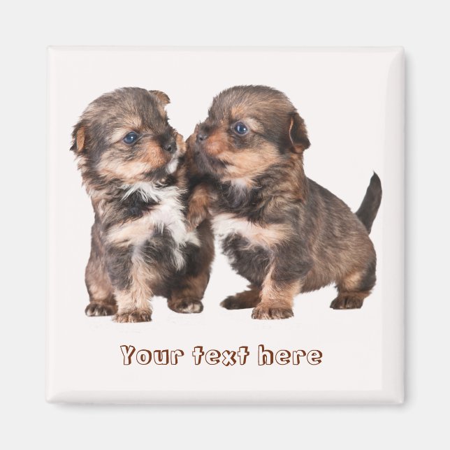 Imã Cute Yorkshire (Frente)