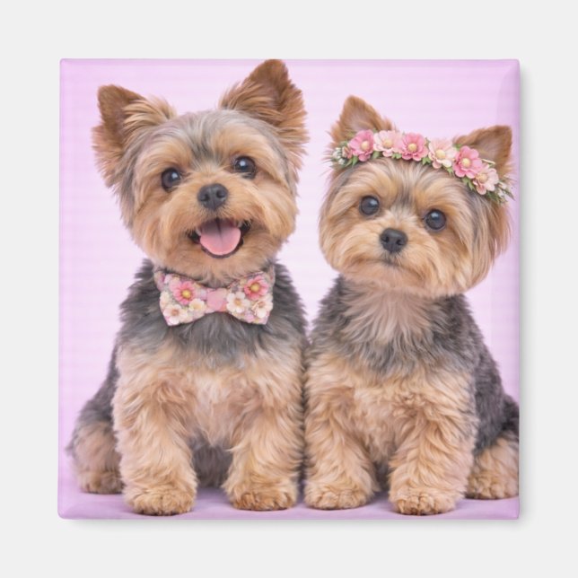 Imã Cute Yorkshire Terrier Couple Valentine Magnet (Frente)