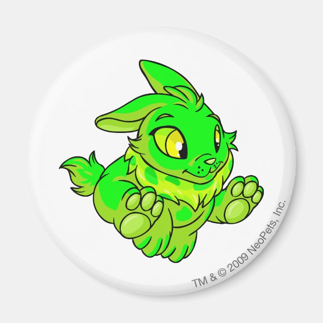 Imã Cybunny Glowny (Frente)