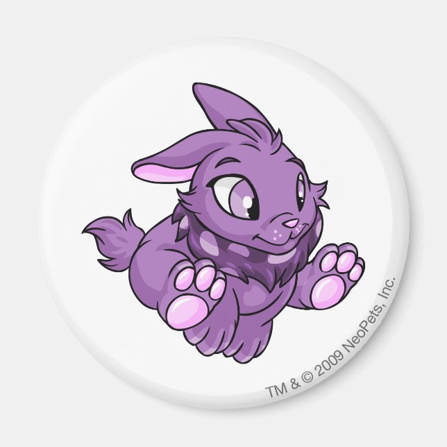 Imã Cybunny Purple (Frente)