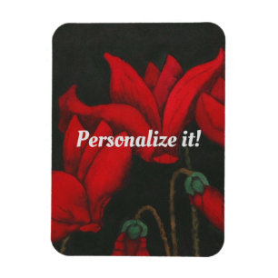 Ímã Cyclamen vermelho vívido em um fundo do preto