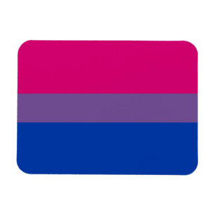 Ímã da bandeira do orgulho do Bi (superior)