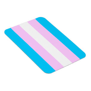 Ímã da bandeira do Transgender