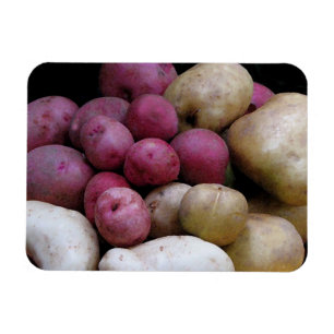 Ímã da batata