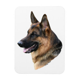 Ímã da cabeça de cão do german shepherd