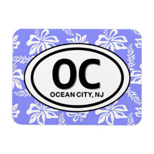 Ímã da cidade NJ do oceano de OC