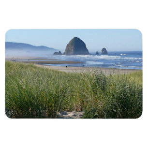 Ímã da costa de Oregon