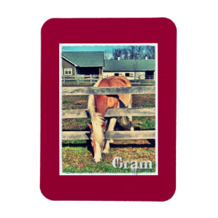 Ímã da edição de luxo do grama