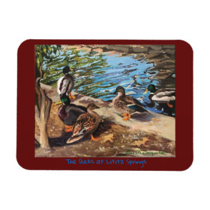 Ímã da foto com os patos em Borgonha