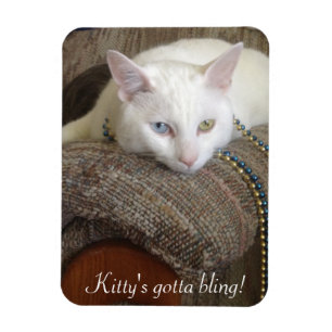 Ímã da foto de Bling do gatinho