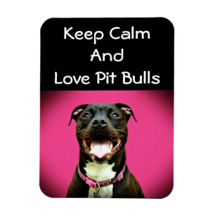 Ímã da foto do amor de Pitbull