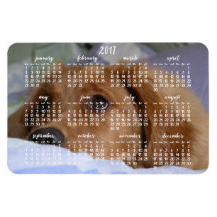 Ímã da foto do calendário 2017 do golden retrie