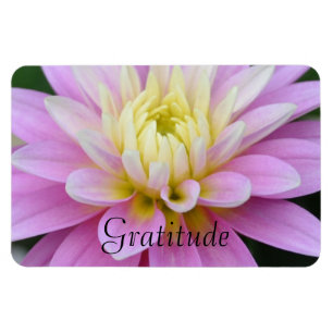 Ímã da gratitude da dália