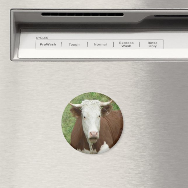 Imã Dá-Lhes o Pássaro para a Ação de Graças (In Situ (Dishwasher))