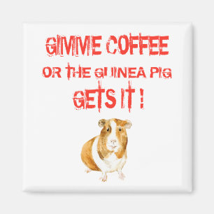 Imã Dá-me café!