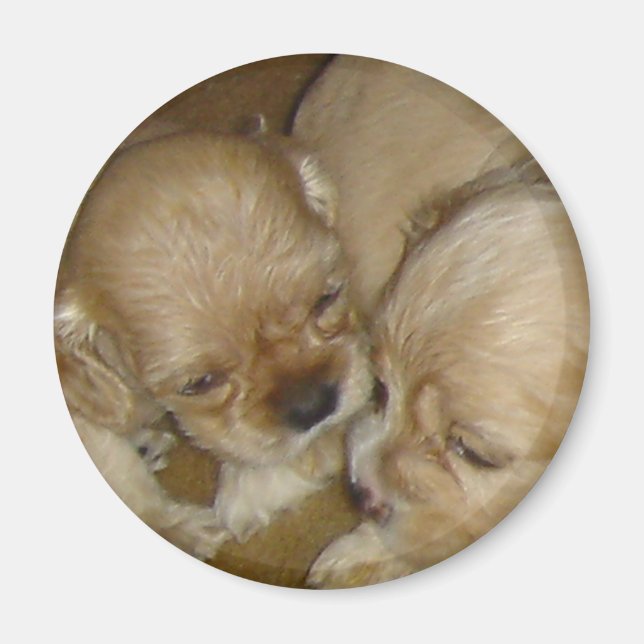 Imã Dá-me um beijo (Frente)