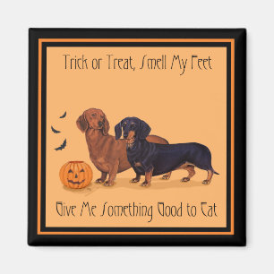 Imã Dachshances Halloween