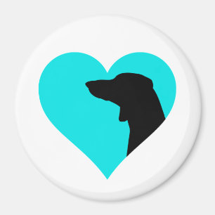 Imã Dachshund