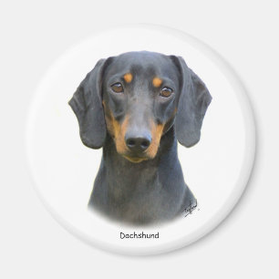 Imã Dachshund