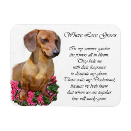 Ímã Dachshund Art Gifts