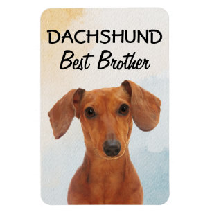 Ímã Dachshund Best Brother Magnet