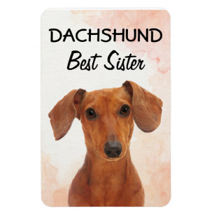 Ímã Dachshund Best Sister Magnet